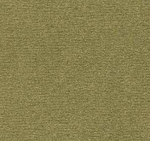 Ковролин Radici Nexus Muschio 8207 фото 1 | FLOORDEALER